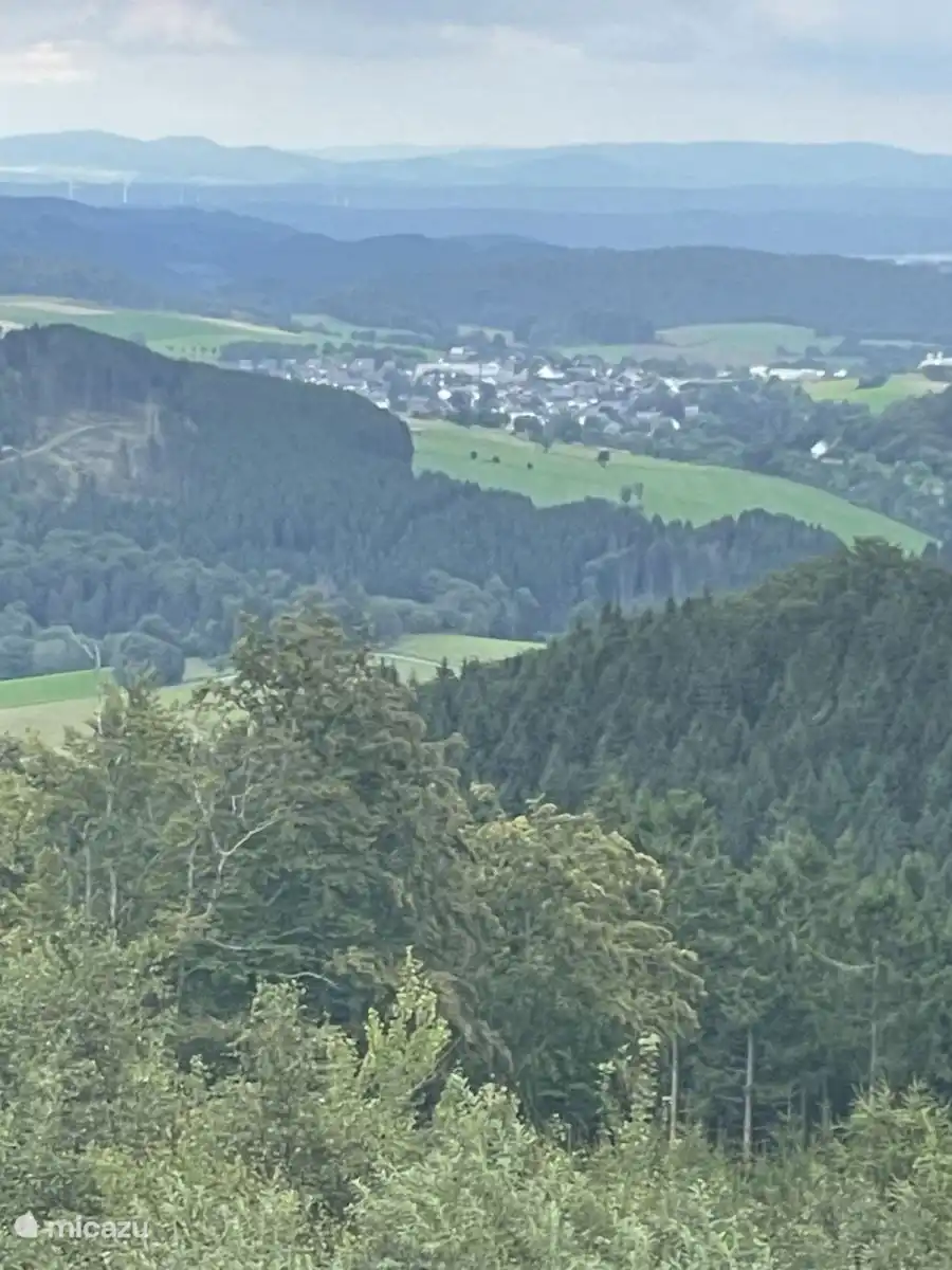 Blick auf Willingen