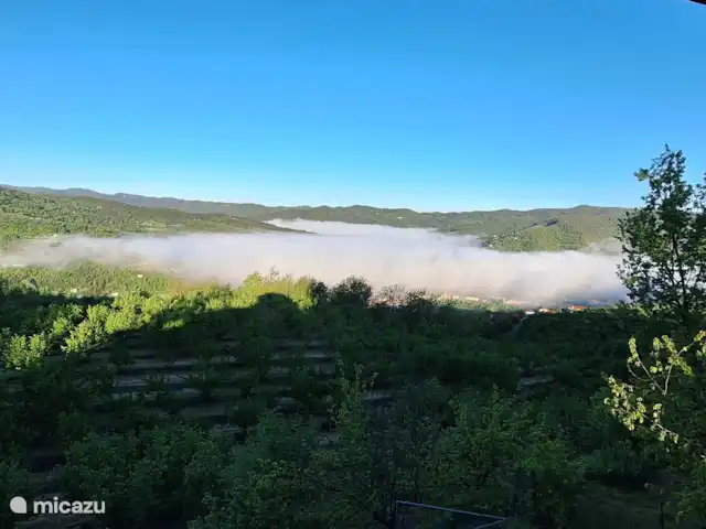 Location de Vacances Italie, Piémont, Cortemilla, maison de vacances - La Cuccia del Sole