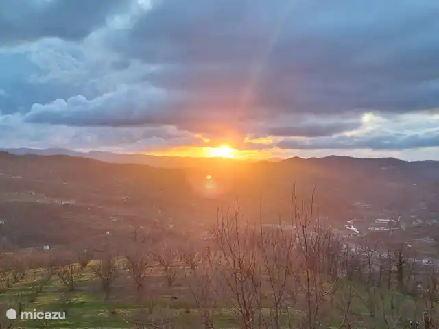 Location de Vacances Italie, Piémont, Cortemilla, maison de vacances - La Cuccia del Sole