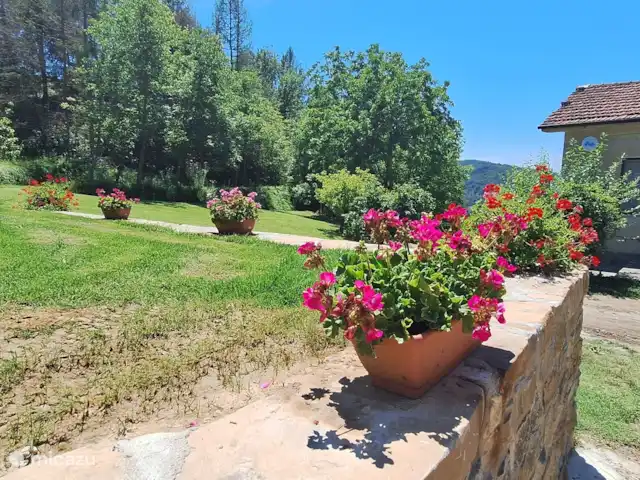 Location de Vacances Italie, Piémont, Cortemilla, maison de vacances - La Cuccia del Sole