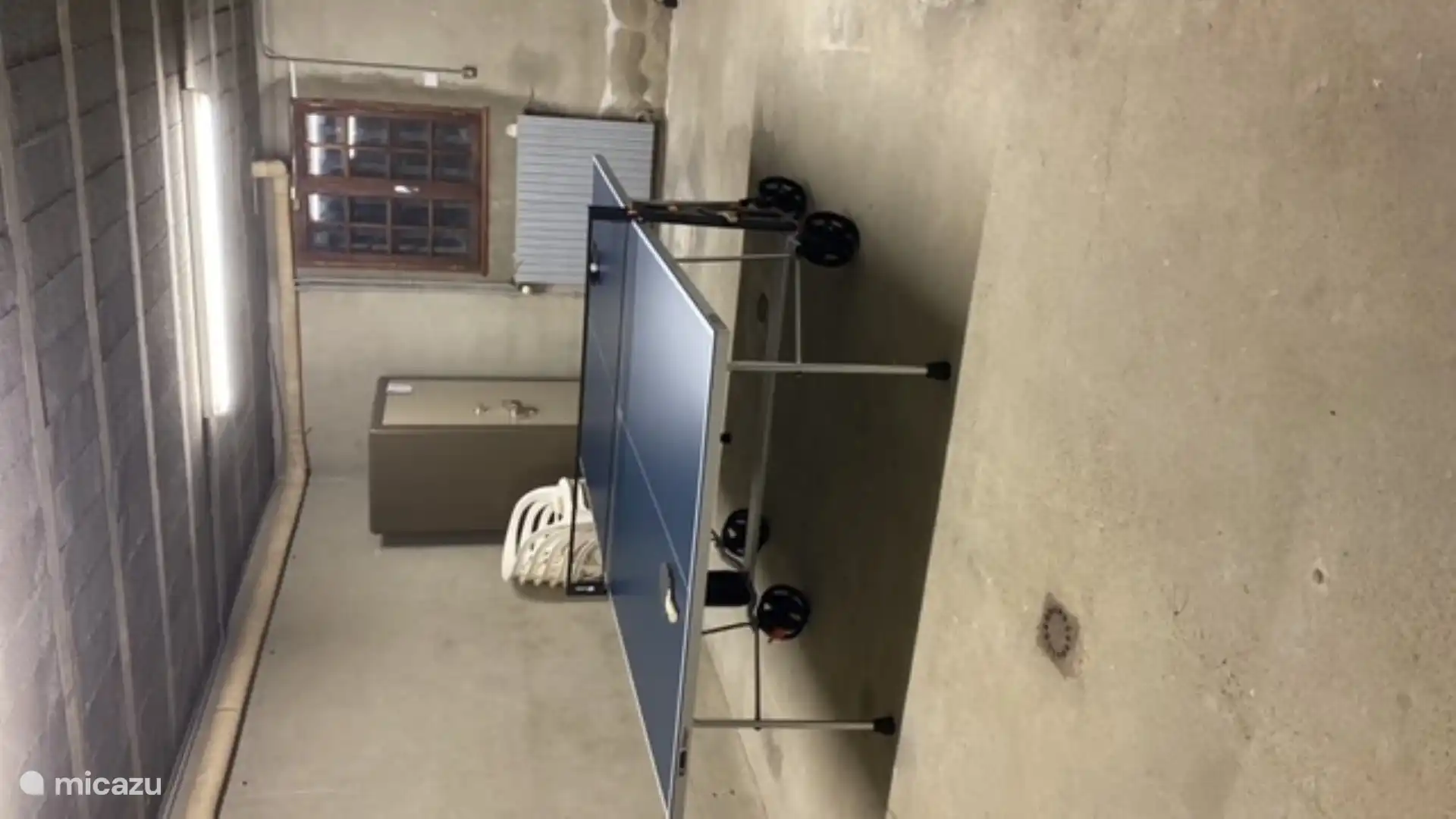 Die Tischtennisplatte