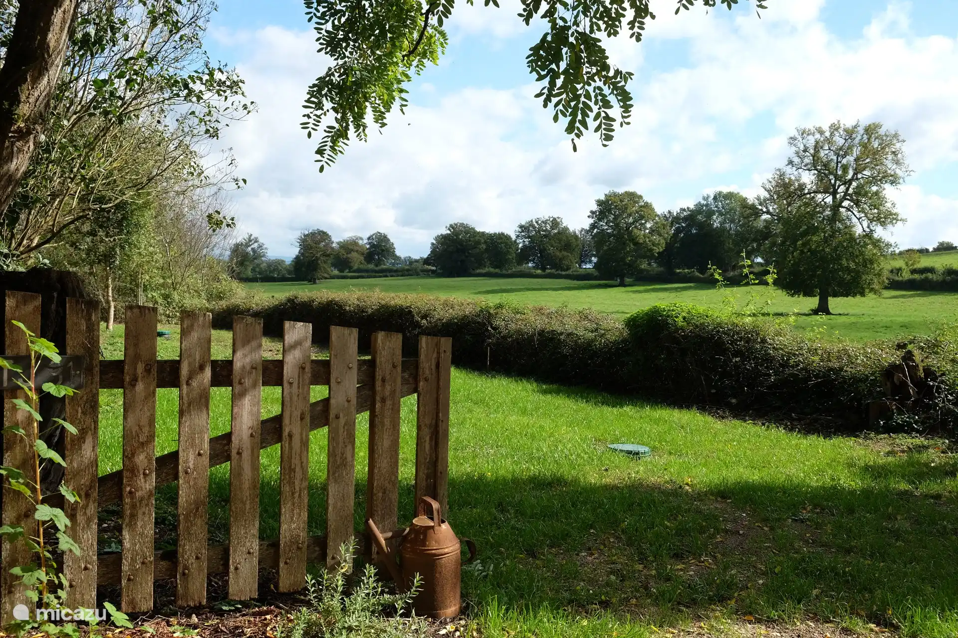 Der abgelegene Hinterhof