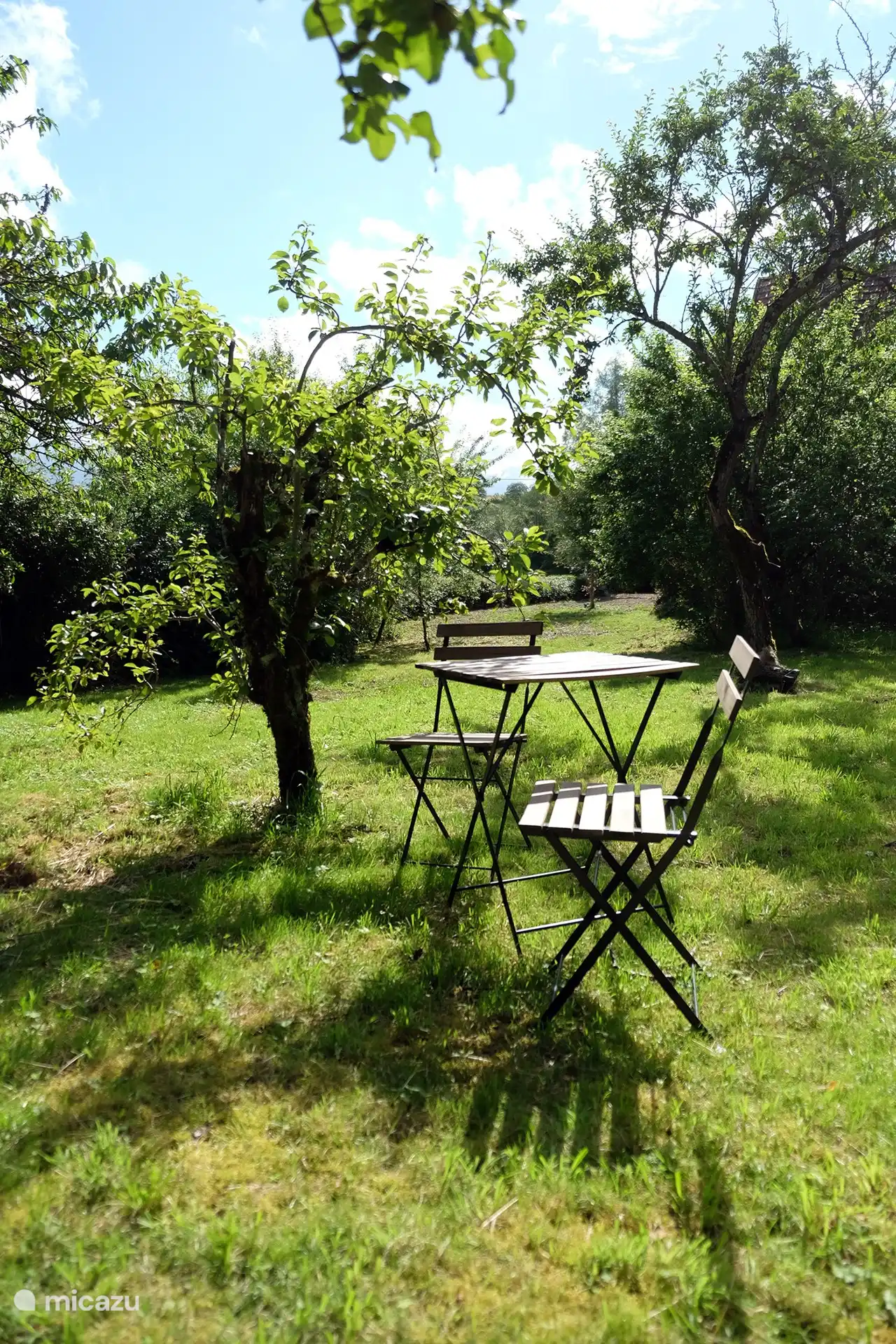 Gemütliche schattige Sitzecke im hinteren Teil des Gartens zwischen den Obstbäumen.