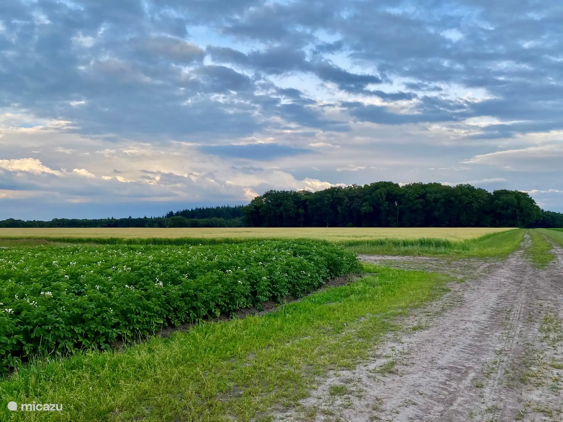 A stone's throw away.