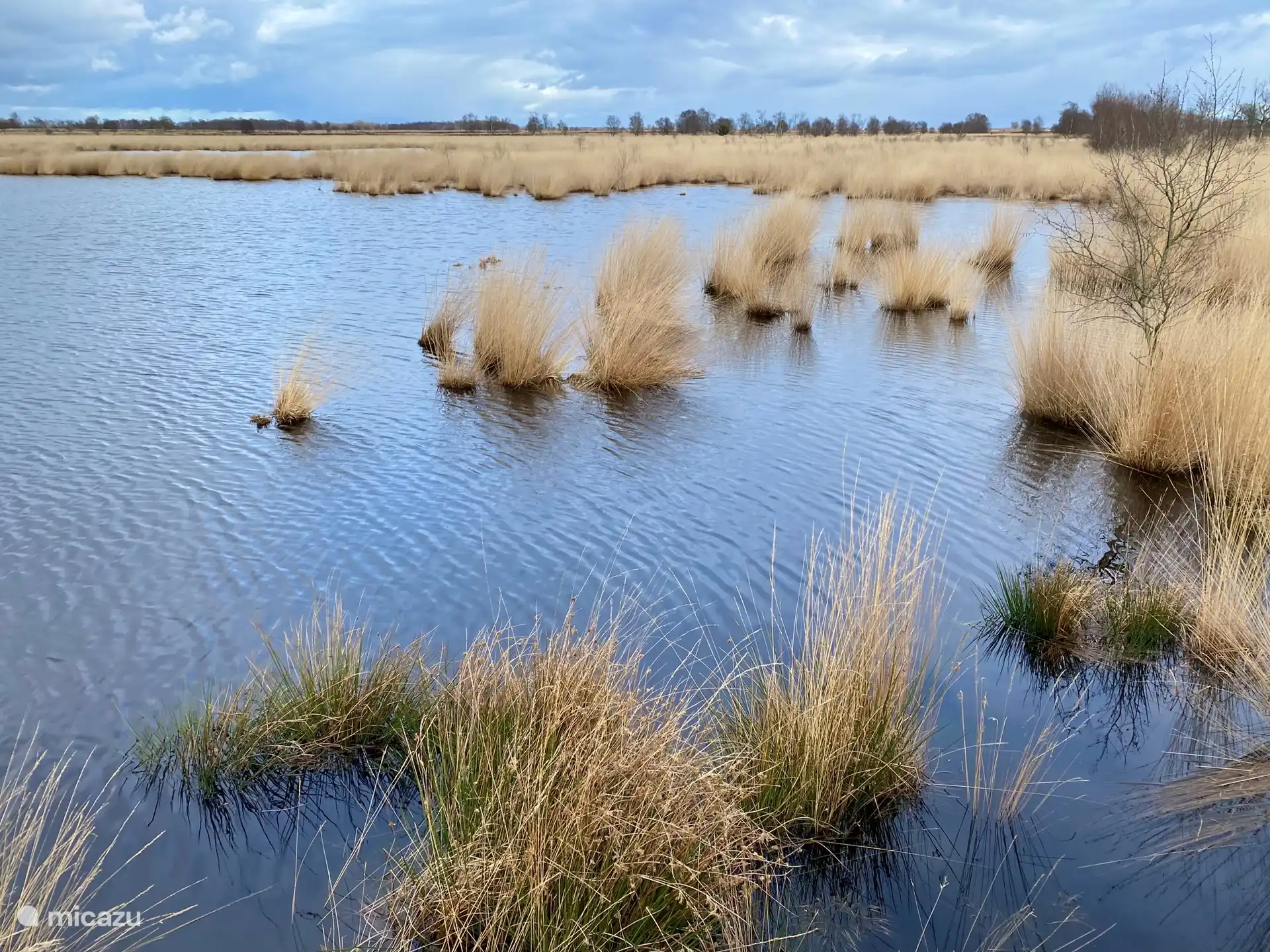 Beautiful water features at Wijteveen.