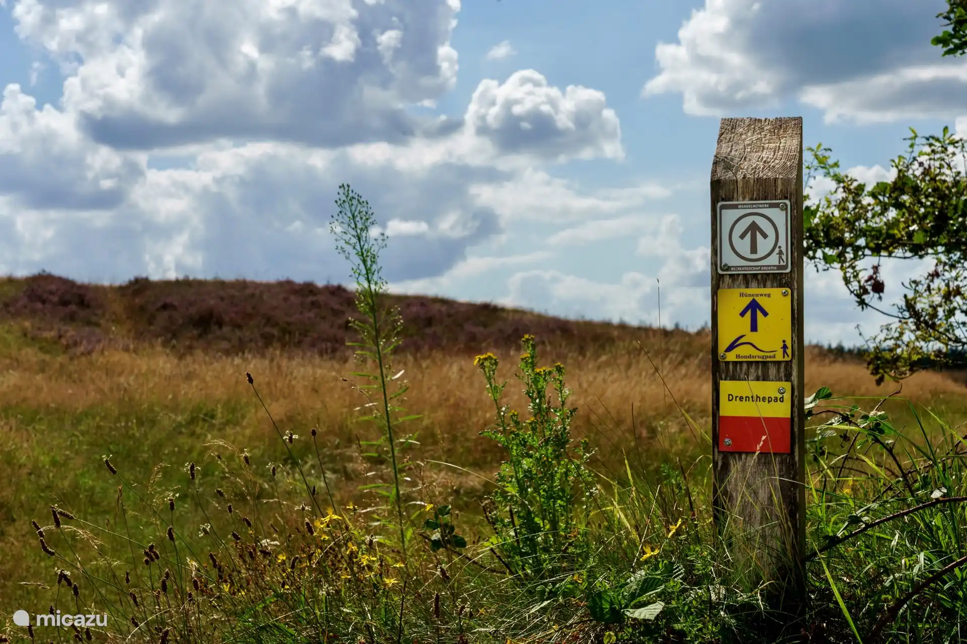 Walking on the Hondsrug and the Drenthepad.