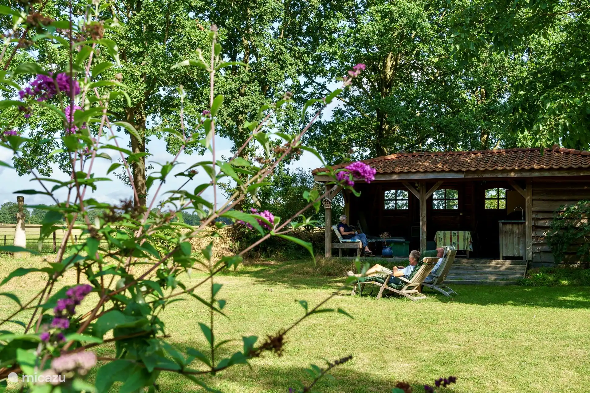 Freedom in the garden.