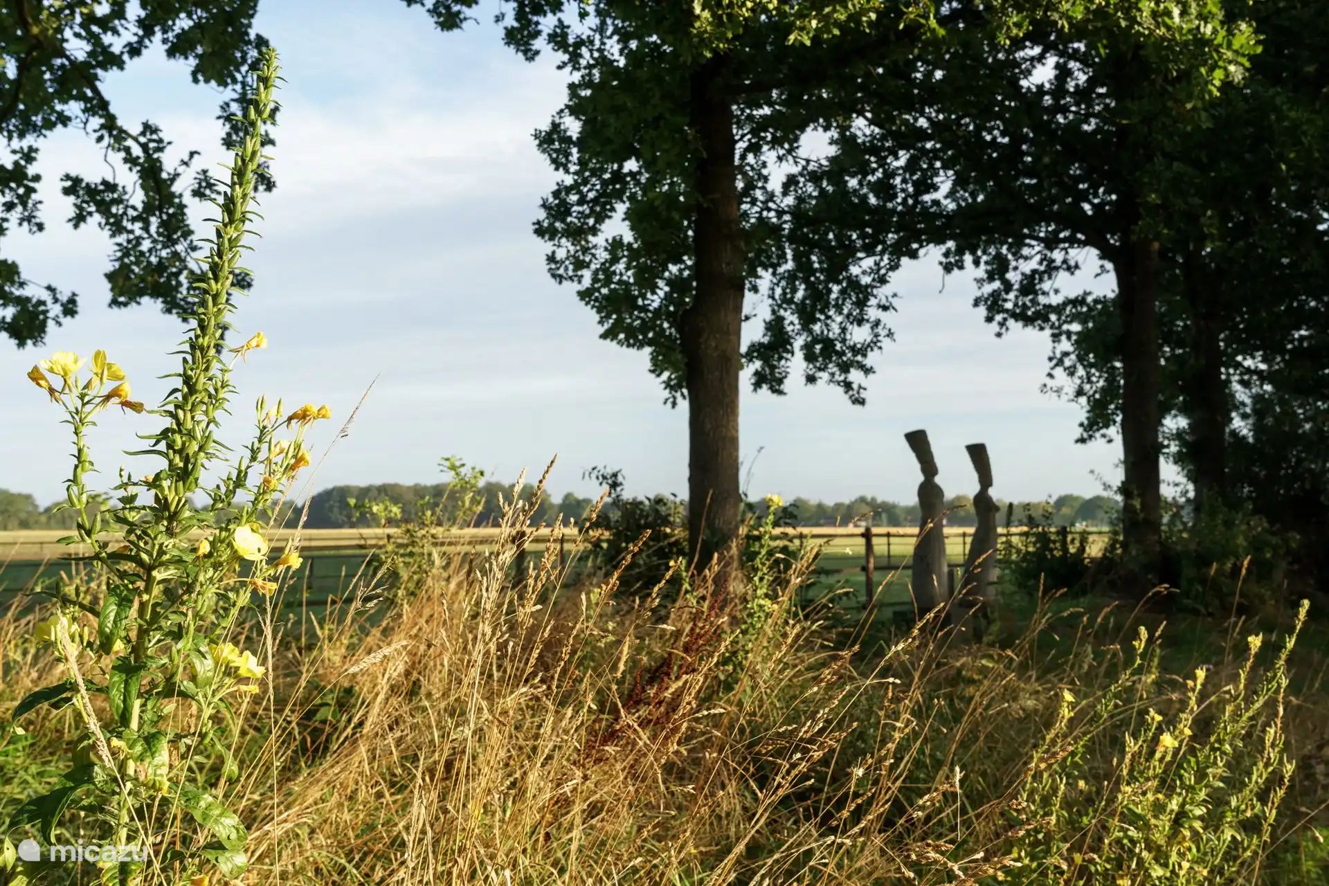 The guards look out over the garden.
