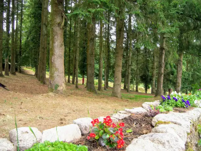 La Fretu, Gîtes familiaux | France, Morbihan, Pontivy - gîte / cottage Vue sur la petite forêt où se trouve la Zip Line