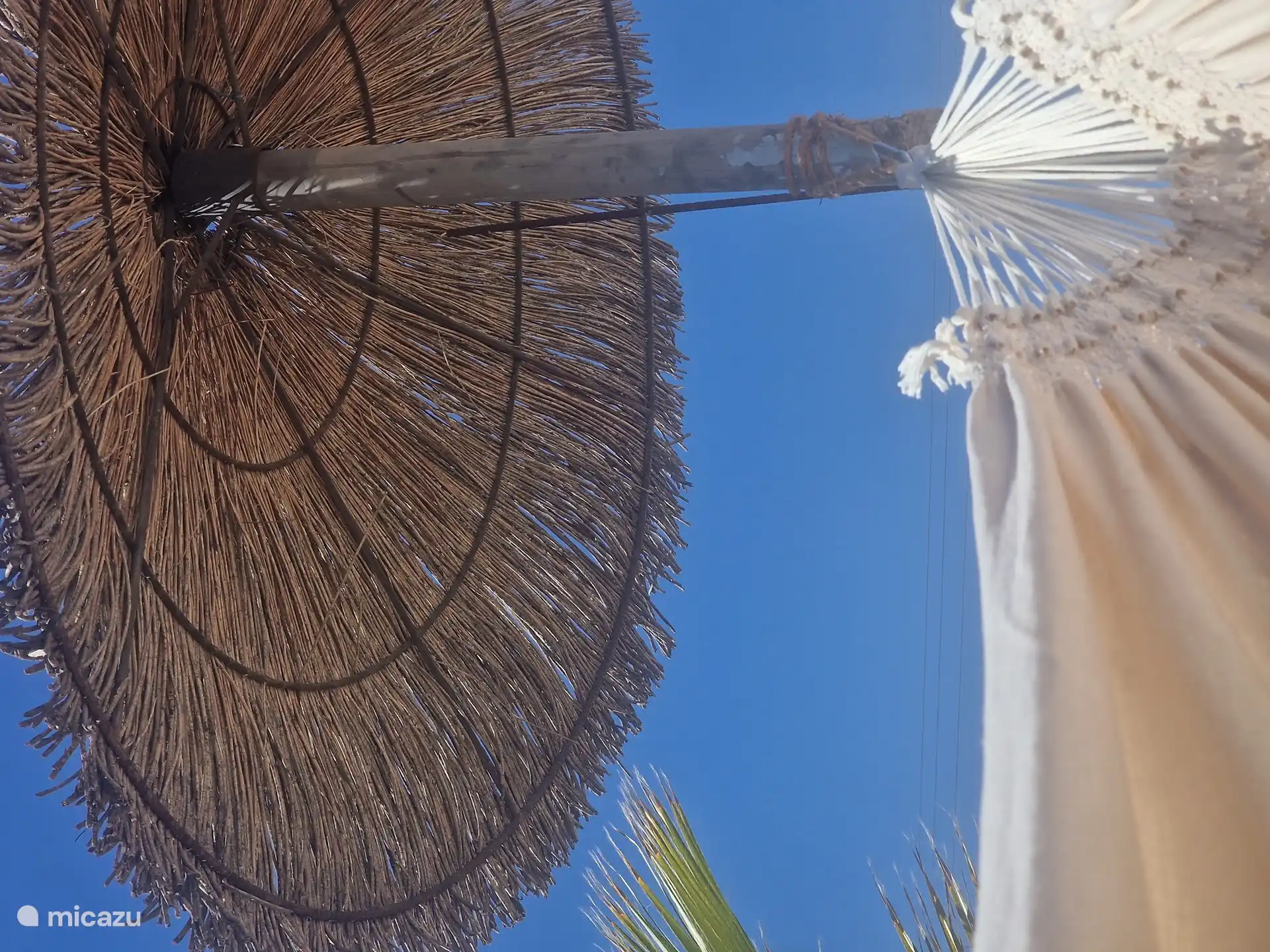 Blick aus der Hängematte