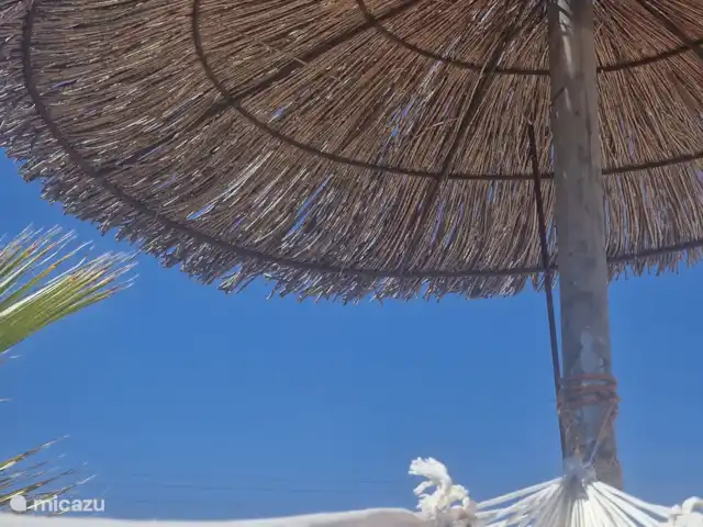 Villa Candelaria en España, Murcia, Murcia - villa Vista desde la hamaca