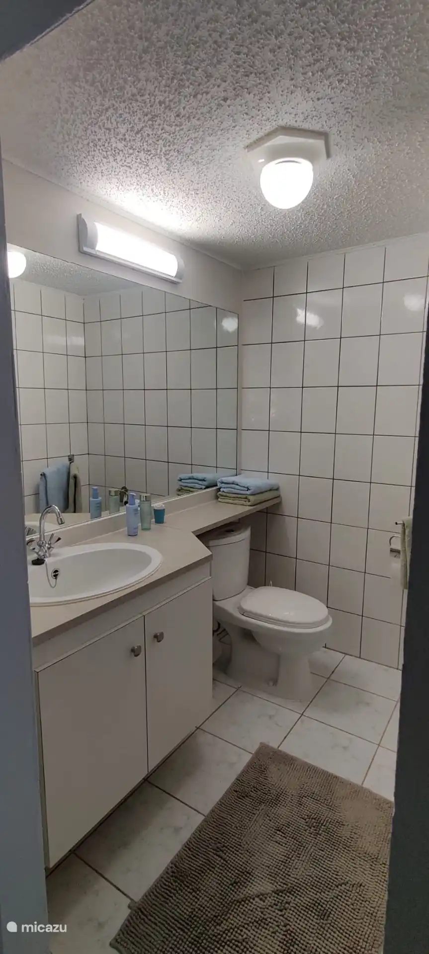 lavabo, inodoro y ducha