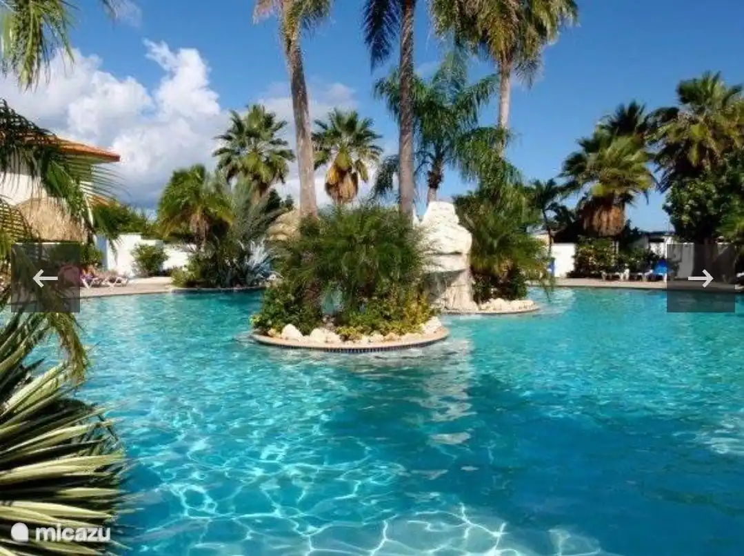 Hermosa piscina con un hermoso jardín tropical
