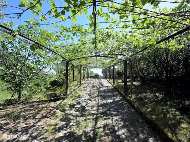 Casa do Bosque huren in Portugal, Viana do Castelo, Vila Nova de Cerveira - villa Casa do Bosque