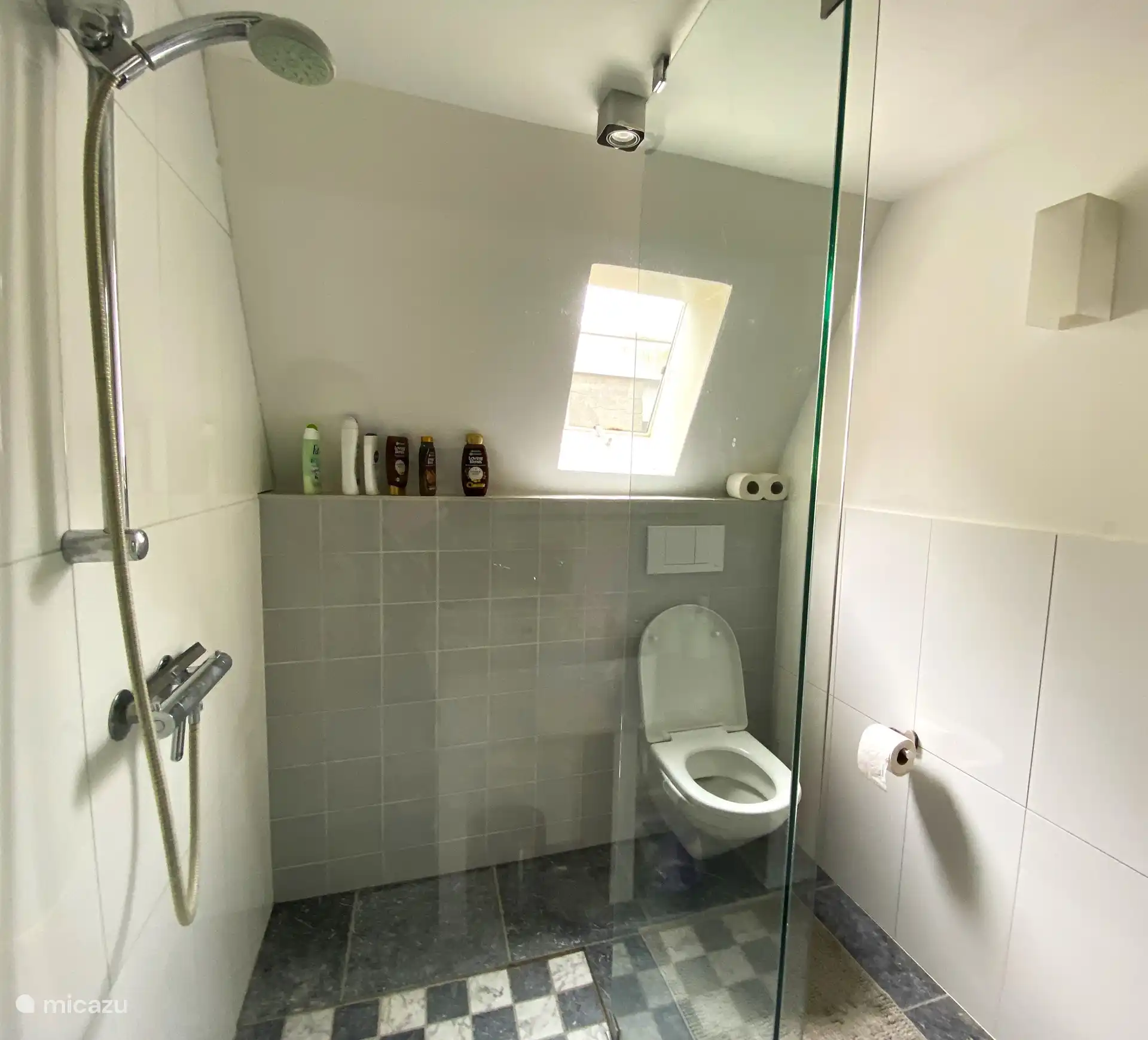 la salle de bain avec toilettes et douche