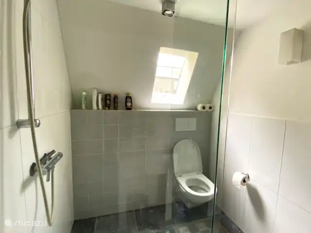 stadswoning huren in Nederland, Friesland, Franeker – Franeker Hûske de badkamer met toilet en douche