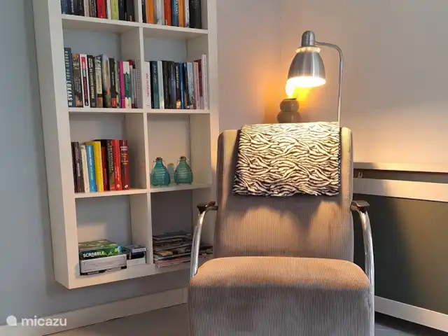 stadswoning huren in Nederland, Friesland, Franeker – Franeker Hûske veel boeken, spelletjes en informatie over Franeker aanwezig