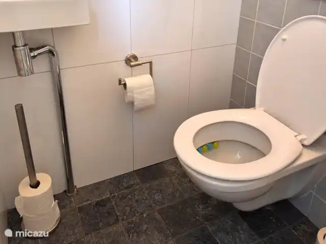 stadswoning huren in Nederland, Friesland, Franeker – Franeker Hûske toilet op de begane grond bij de bijkeuken