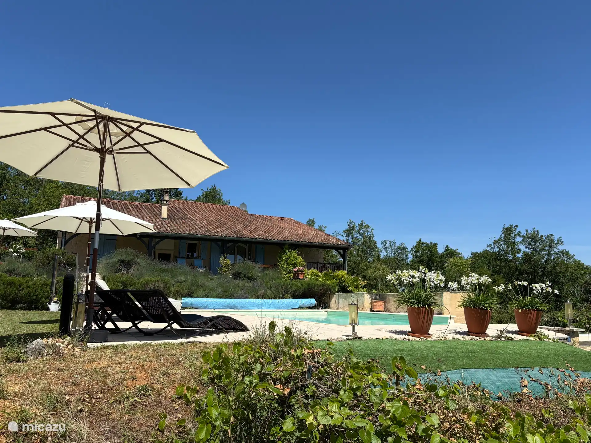 look at the rear of the house from the pool