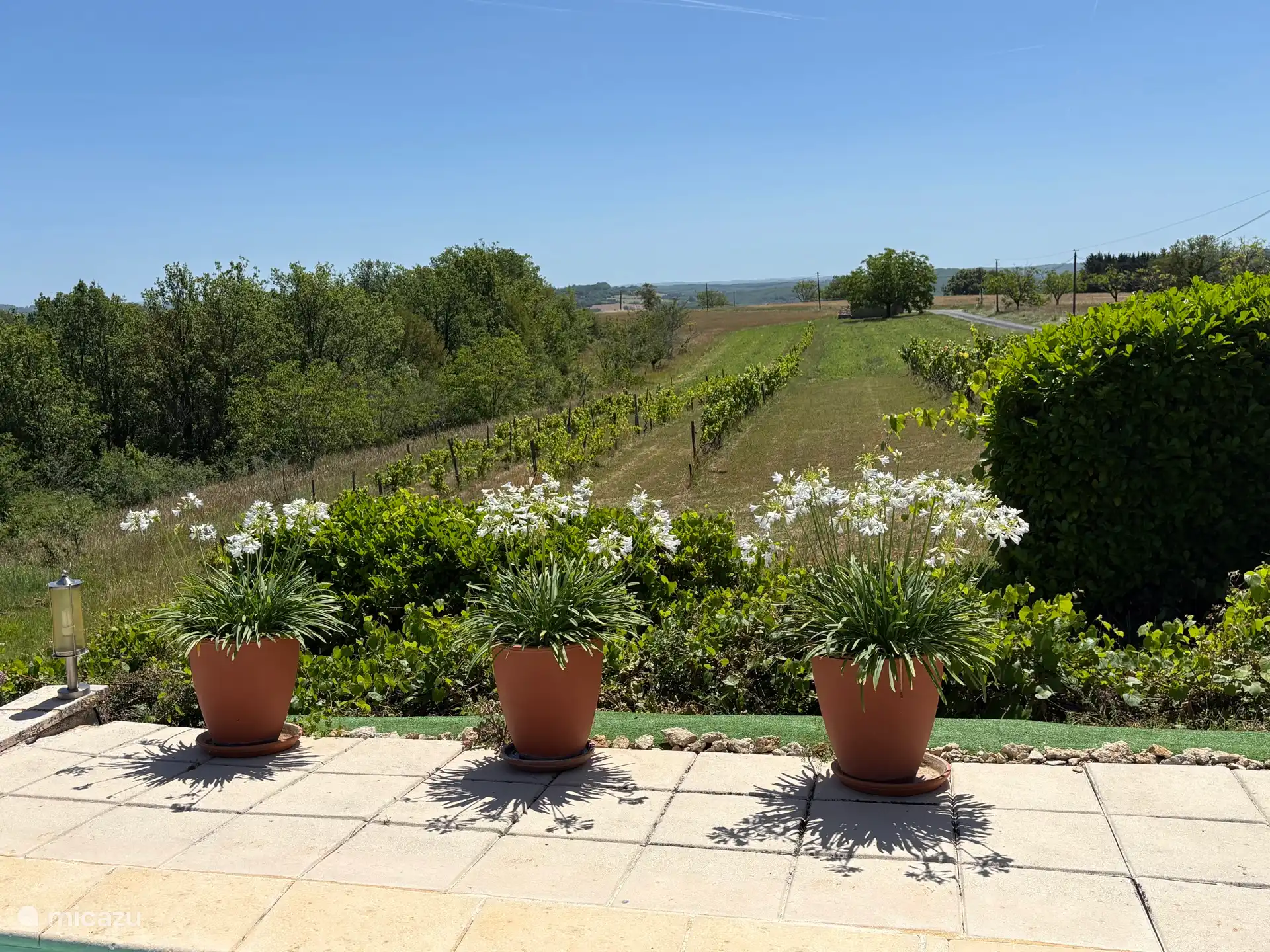 View over the wine country 