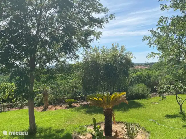 Location de Vacances Espagne, Valence, Pedralba, villa - Casa Pájaros Jardin