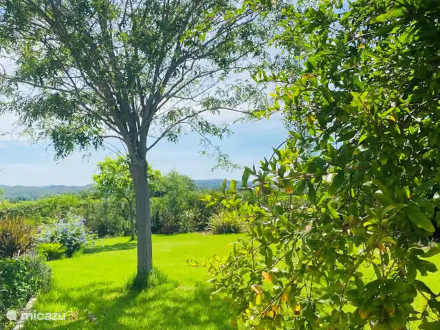 Location de Vacances Espagne, Valence, Pedralba, villa - Casa Pájaros Jardin