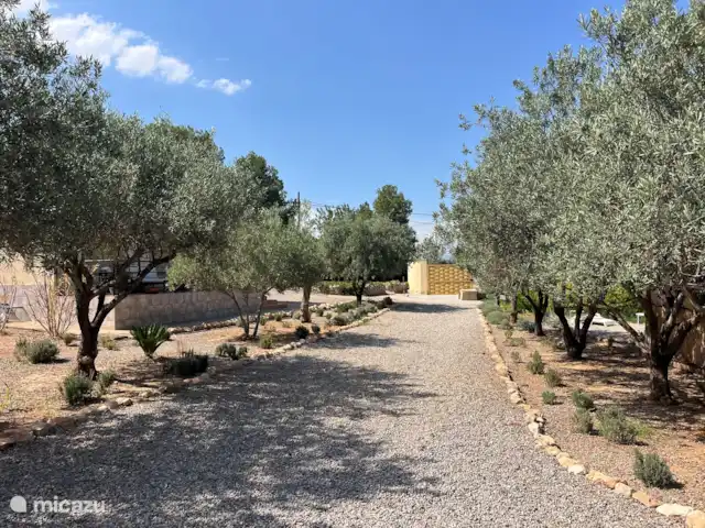 Location de Vacances Espagne, Valence, Pedralba, villa - Casa Pájaros Jardin