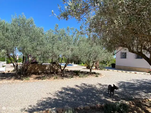 Location de Vacances Espagne, Valence, Pedralba, villa - Casa Pájaros Vue depuis la terrasse