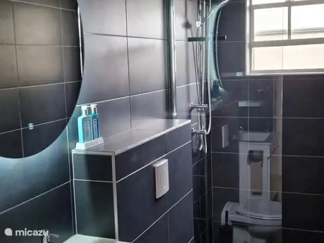 Bon Bista en Curazao, Bandabou (oeste), Barber - apartamento Este baño es completamente nuevo y está equipado con ducha de efecto lluvia, espejo con iluminación, dispensador de champú y jabón, inodoro flotante, lavabo y estantes adicionales para colocar cosas.