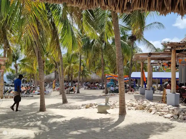 Bon Bista en Curazao, Bandabou (oeste), Barber - apartamento Playa Bahía Azul.