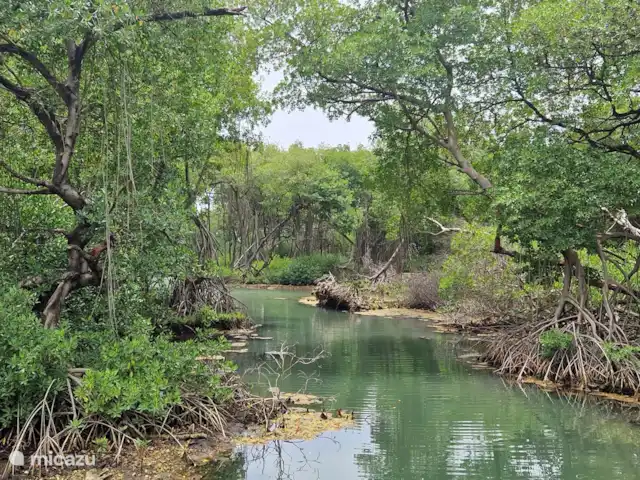 Bon Bista en Curazao, Bandabou (oeste), Barber - apartamento Manglares de Curazao.