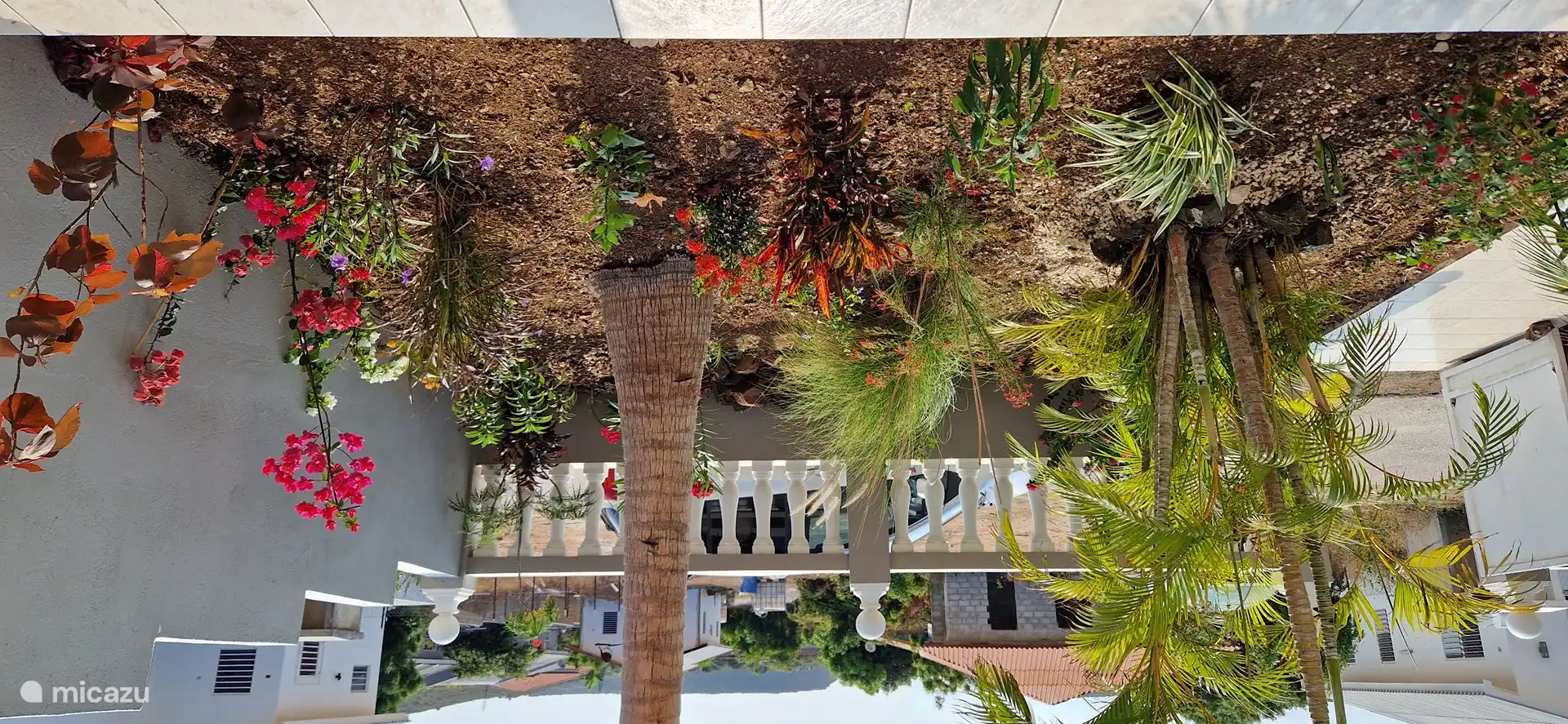 Von der Veranda aus haben Sie einen Blick auf den wunderschön angelegten Garten.