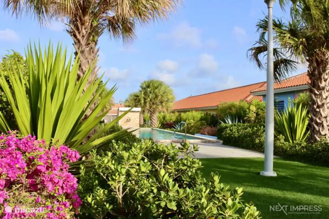 Jardin tropical avec piscine commune