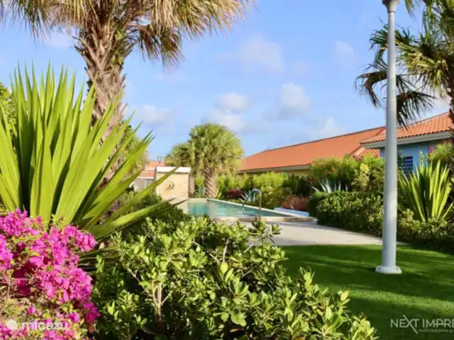 The Ultimate Caribbean Experience | Curaçao, Curaçao-Centre, Sint Michiel - appartement Jardin tropical avec piscine commune
