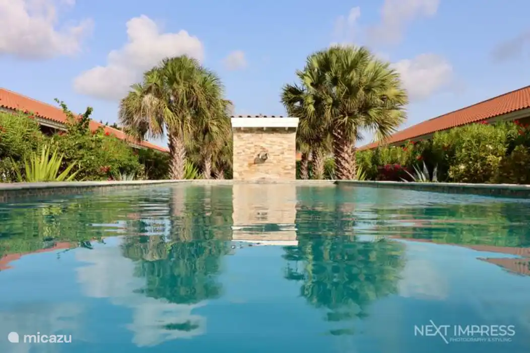 Jardin tropical avec piscine commune