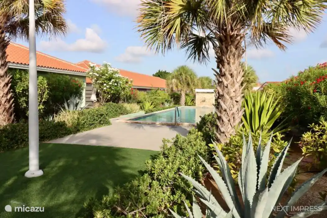 Jardin tropical avec piscine commune