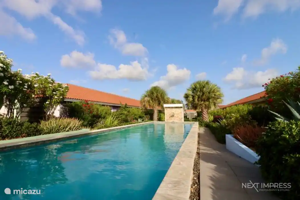 Jardin tropical avec piscine commune