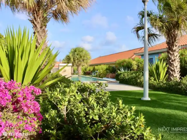 The Ultimate Caribbean Experience | Curaçao, Curaçao-Centre, Sint Michiel - appartement Jardin tropical