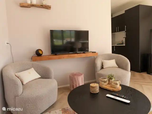 Kukeluusje Ermelo | Pays-Bas, Gueldre, Ermelo - maison de vacances Deux jolis fauteuils