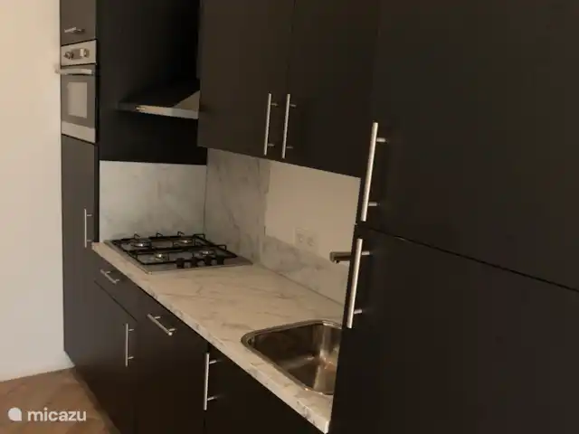 Kukeluusje Ermelo | Pays-Bas, Gueldre, Ermelo - maison de vacances Cuisine avec cuisinière à gaz, réfrigérateur et four cobi