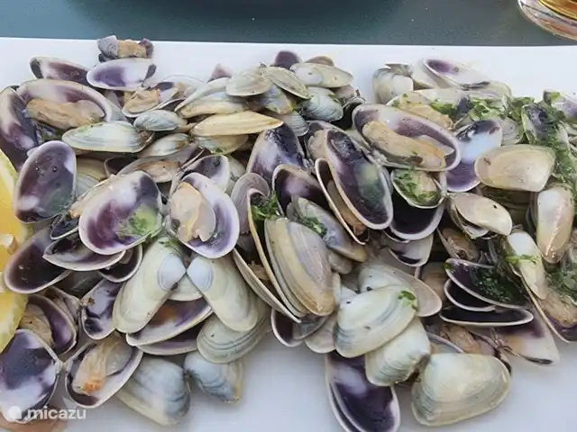 apartamento en España, Valencia, Valencia, España – Primadonna Suites Beach Platillos locales