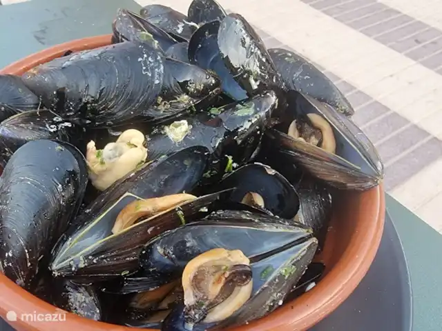 apartamento en España, Valencia, Valencia, España – Primadonna Suites Beach Platillos locales