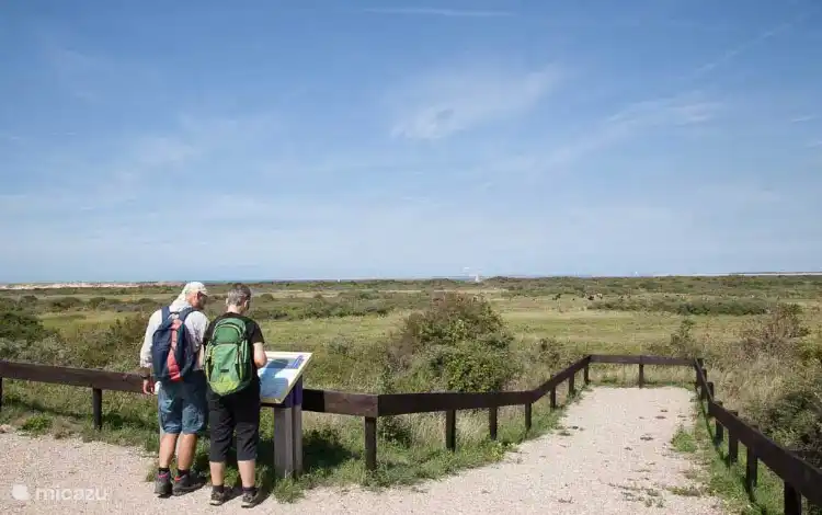 Wandern im Naturschutzgebiet De Kwade Hoek