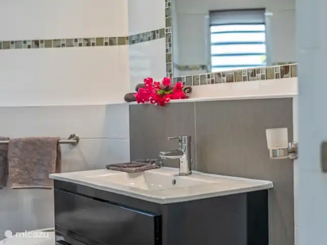 Villa Flamingo con piscina privada en Curazao, Bandabou (oeste), Fontein - villa Baño 2