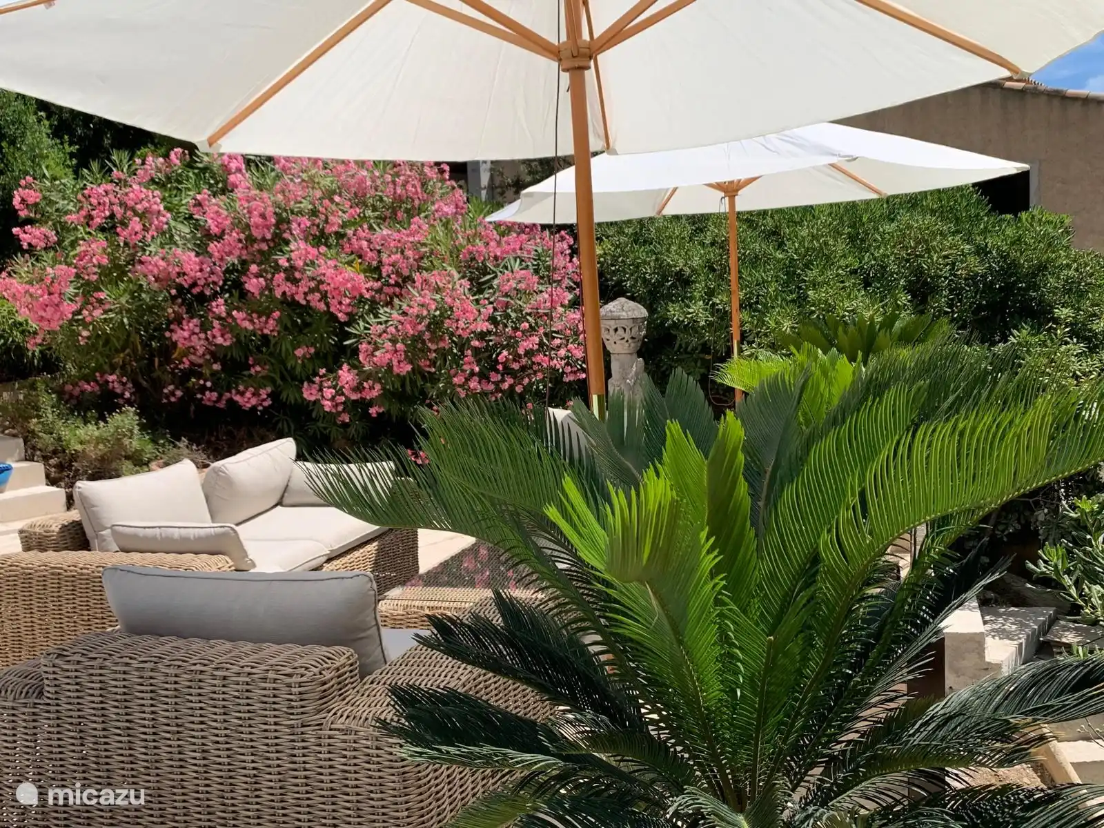 Een oase van groene en bloeiende planten om u heen voor het ultieme vakantie gevoel.