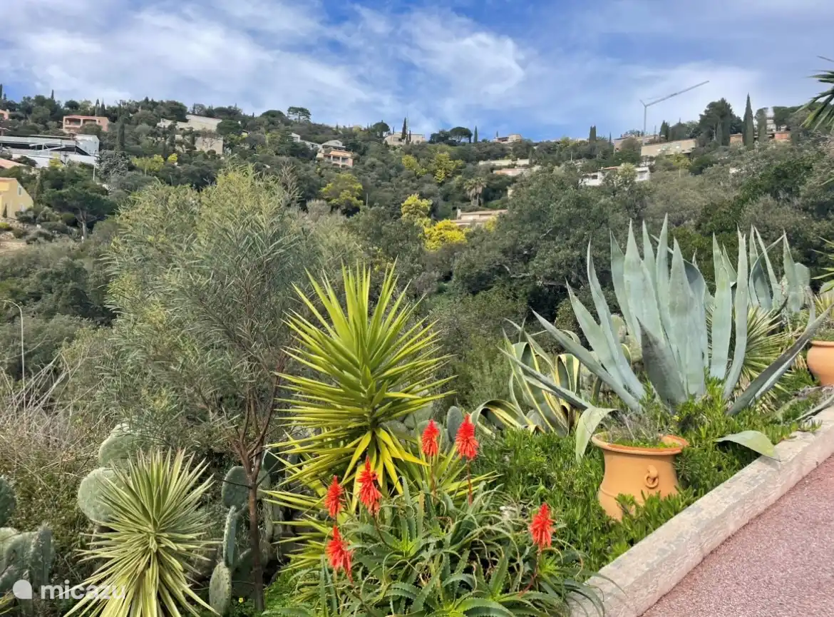 De tuin rondom het huis is een weelderige mix van palmen, agves, catussen en bloeiende planten. 1800 m2 paradijs voor u zelf.