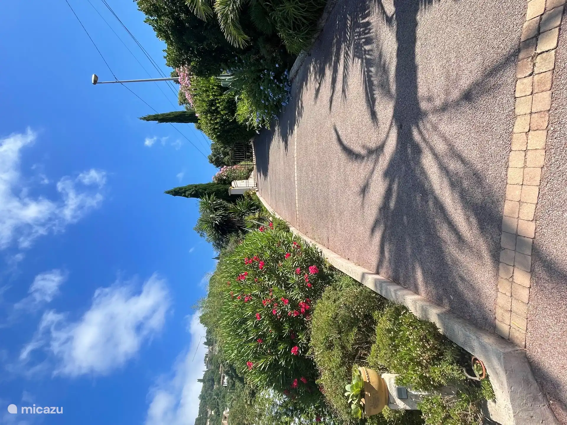 Prive oprijlaan met prachtige bloeiende Oleander en Cypressen