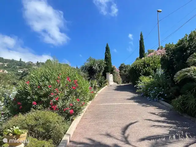 Villa Bougainvillea | France, Côte d'Azur, Les Issambres - villa Prive oprijlaan met prachtige bloeiende Oleander en Cypressen