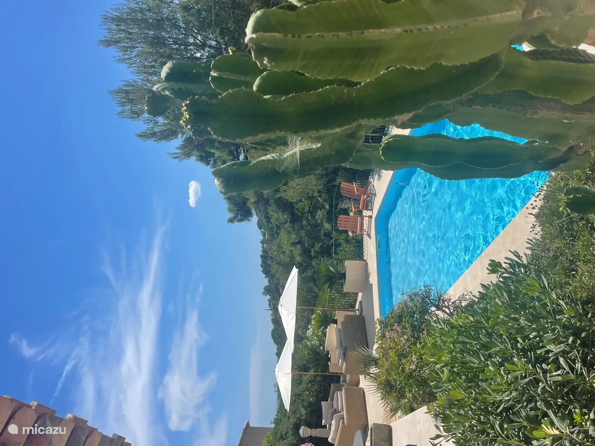 De sfeer rond het zwembad is heerlijk met veel groen om je heen voor volledige ontspanning.