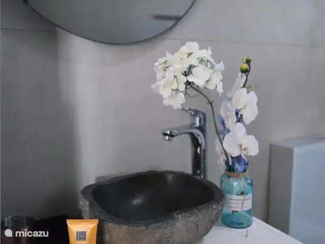 Villa Veertje  en Curazao, Bandabou (oeste), Grote Berg - casa vacacional Baño 2